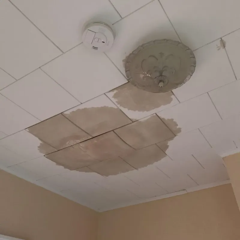 Ceiling Water Damage Repair in Pawlet, VT