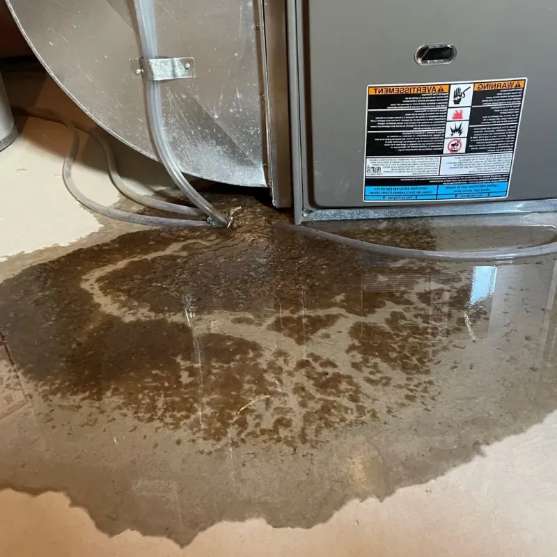 Pipe Burst and Leak Restoration in Pawlet, VT